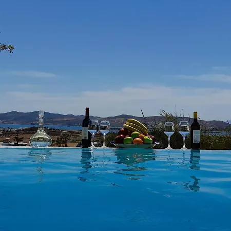 빌라 Anthemion Villas Kassandra Agia Irini (Paros)